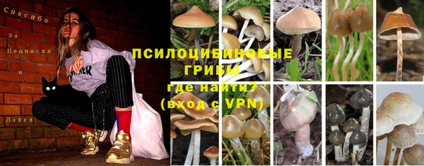 mdma Лиски