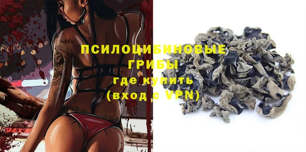 соль ск Липки