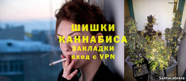 соль ск Липки