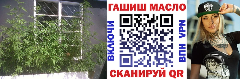 закладки Ядрин ТГК гашишное масло